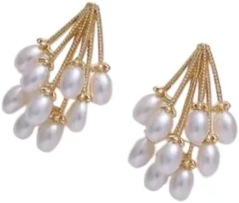 Pearl earrings for women Korean Elegant Baroque Pearl Clip on Earrings Non Pierced Temperament Personality Versatile Jewelry For Women-T04